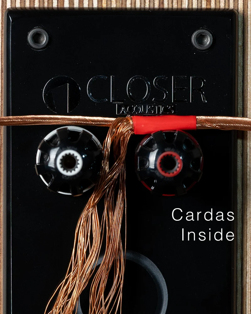 Closer Acoustics OGY '26 - Birch Plywood - Pair