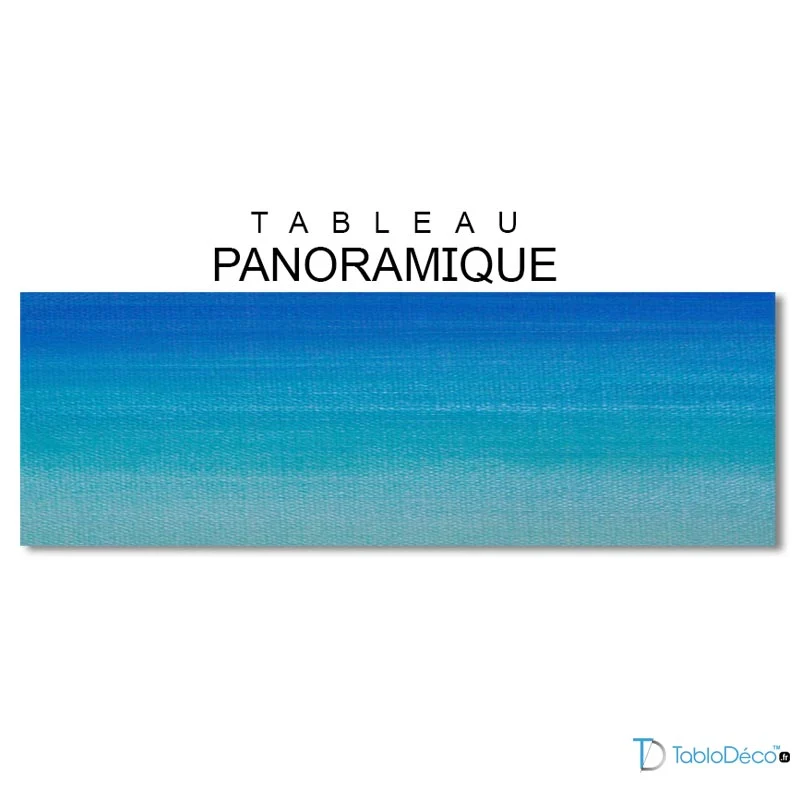 Languettes 3M pour Tableau format panoramique