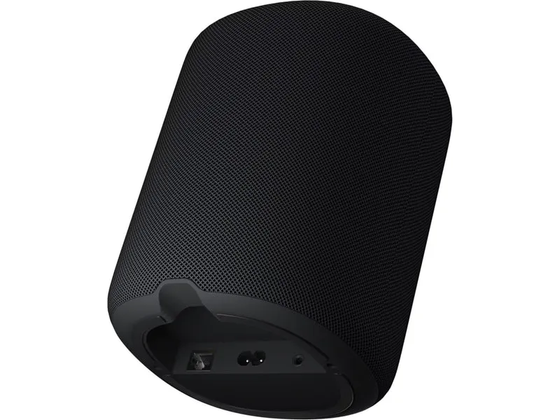 WIIM SOUND LITE TWIN