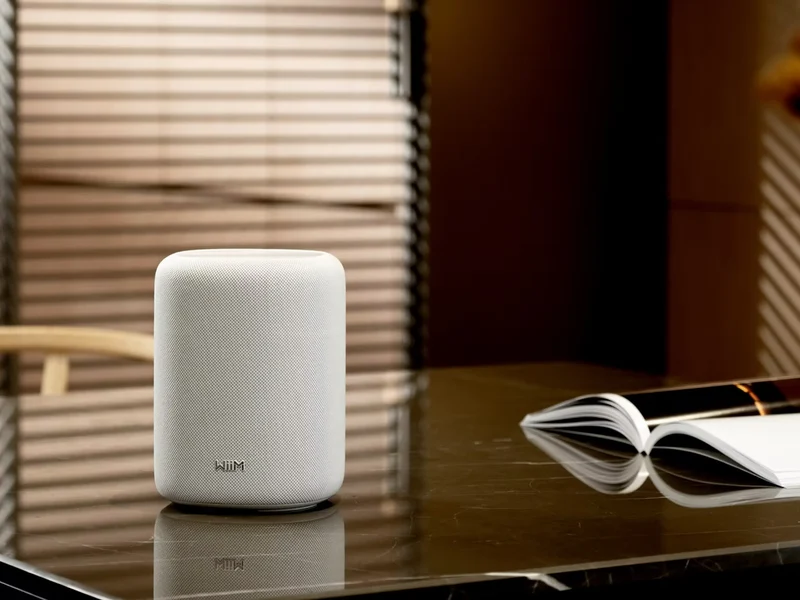 WIIM SOUND LITE