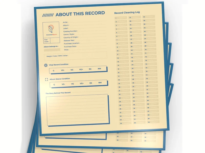HUMMINGURU Pochettes de remplacement x 25 (POUR DISQUES 12")