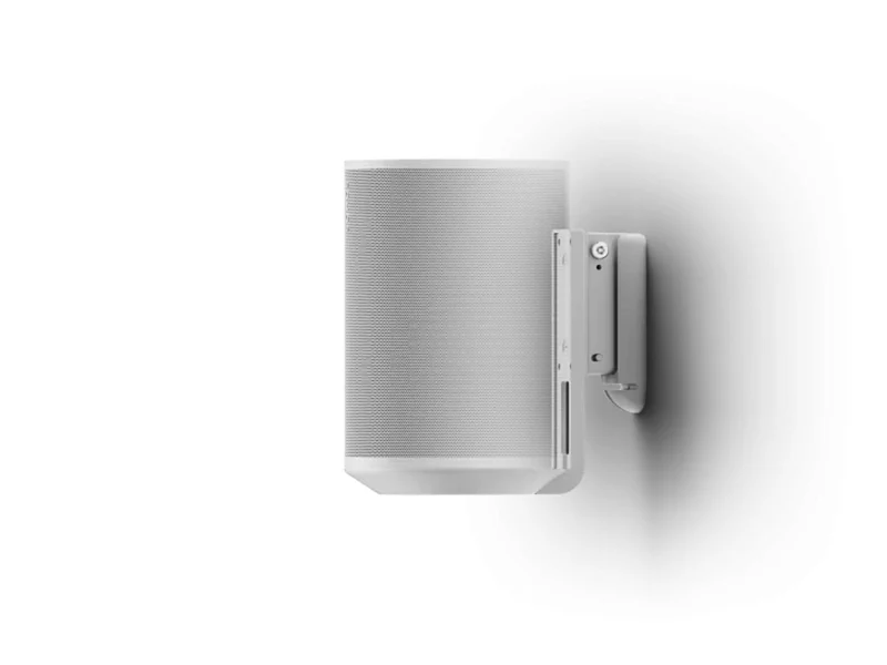 FLEXSON SUPPORT MURAL SONOS ERA 100