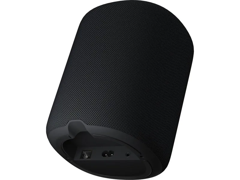 WIIM SOUND WITH DISPLAY