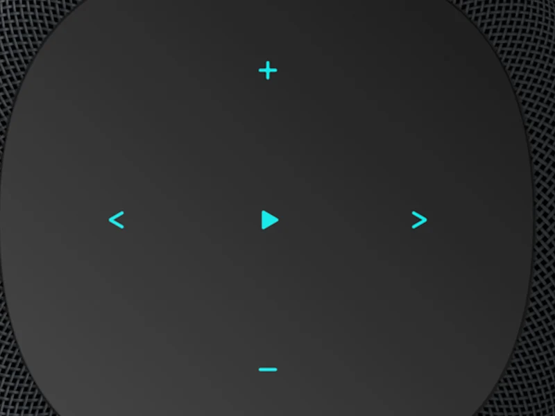 WIIM SOUND WITH DISPLAY