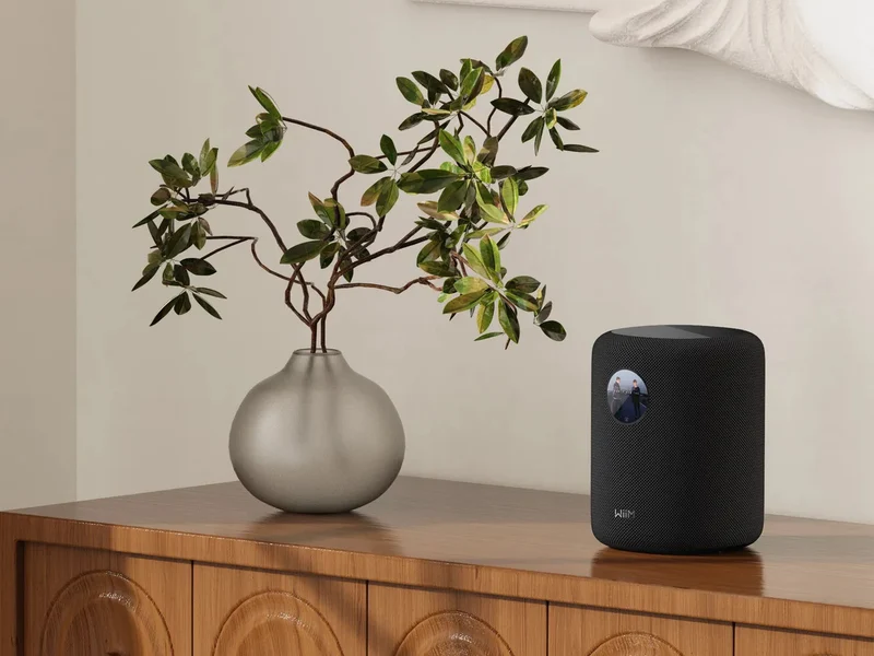 WIIM SOUND WITH DISPLAY