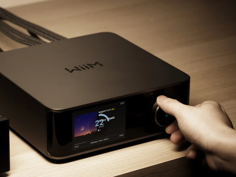 WIIM ULTRA + VIBELINK SYSTEM