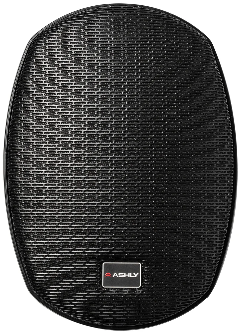 Haut-parleur ASHLY AW-5.2T 5" Vendu en Paire