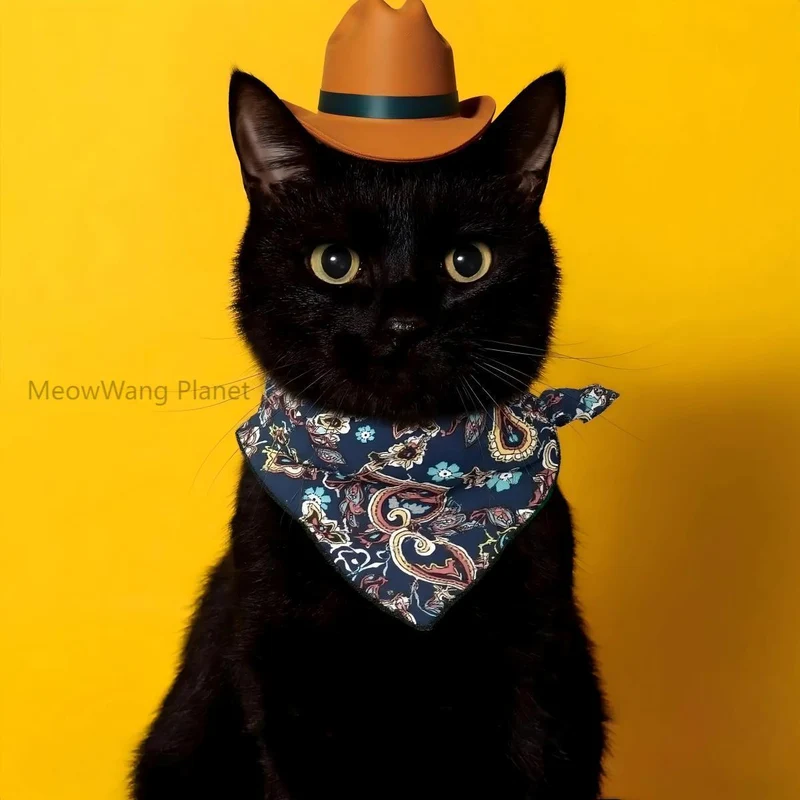 Bandana and Cowboy Hat Pet Costume