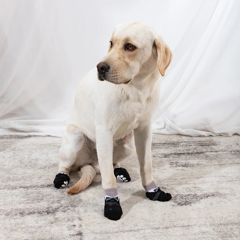 Tuxedo Dog Socks