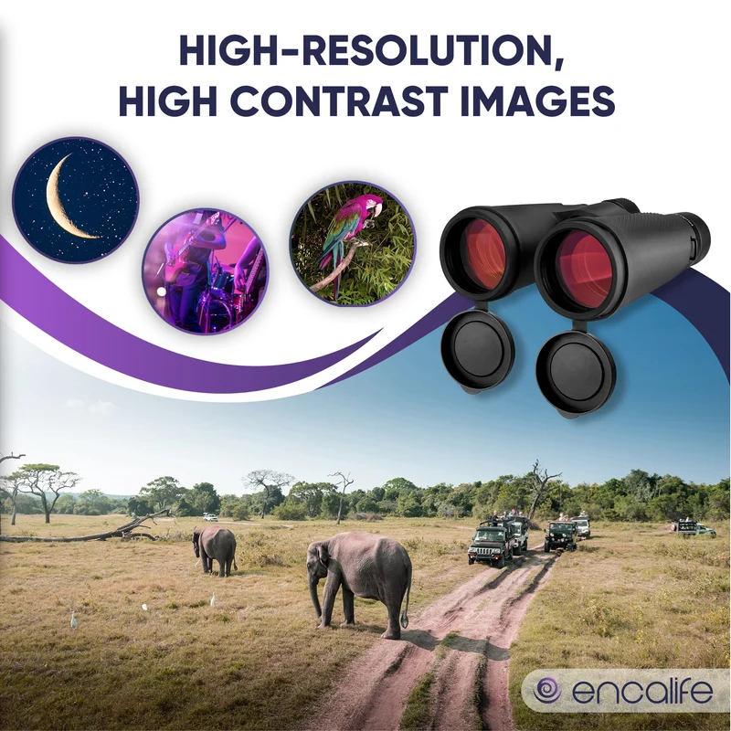 Extra-Low Dispersion Binoculars | ENBI202