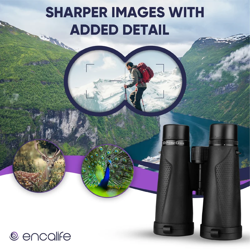 Extra-Low Dispersion Binoculars | ENBI202