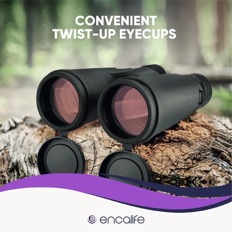 Extra-Low Dispersion Binoculars | ENBI202
