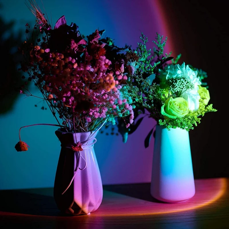 Sunset Lamp (App Controlled with 16.7 Million Colors)
