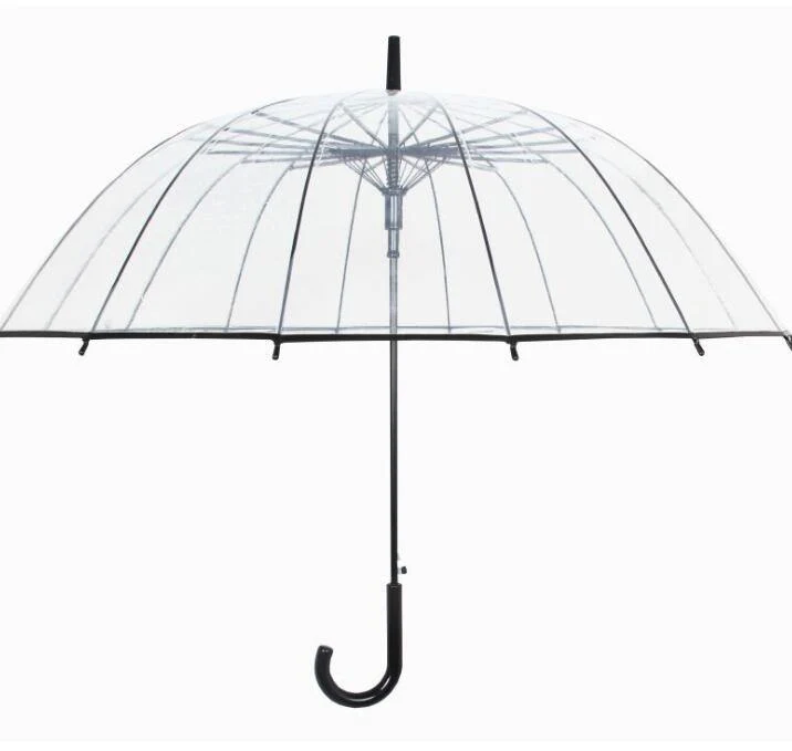 Transparent Umbrella