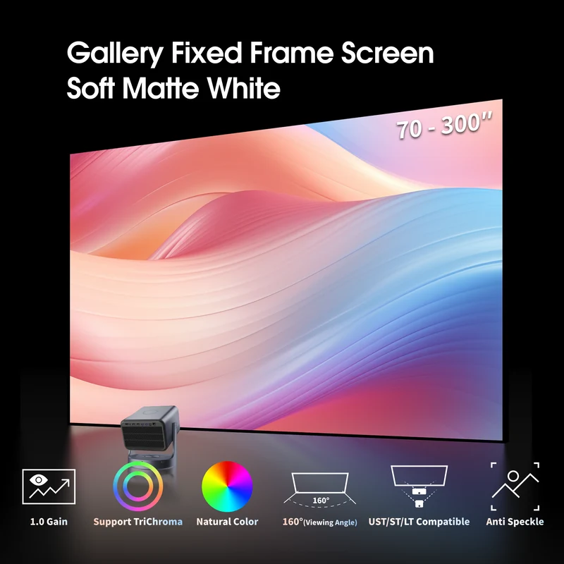 WUPRO Cinema Gallery Fixed Frame Screen Soft Matte White