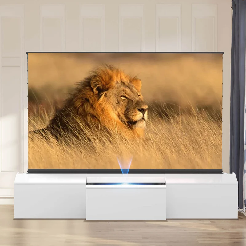 WUPRO Cinema DSP-580S Ultra Short Throw Projector Laser TV Cabinet