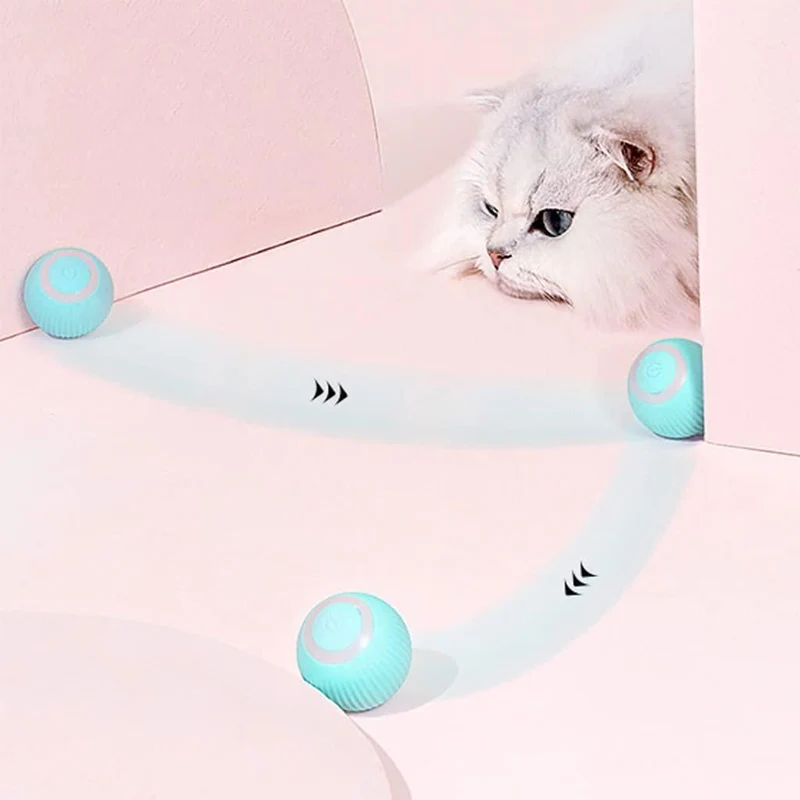 Self Rolling Ball | Playtime Toy For Cats & Dogs