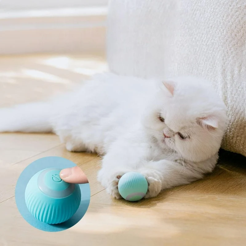 Self Rolling Ball | Playtime Toy For Cats & Dogs