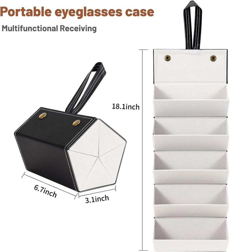 SmartCarry Sunglass Case