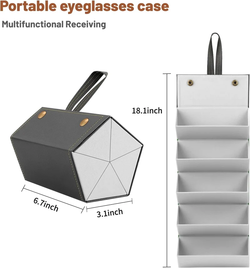 SmartCarry Sunglass Case