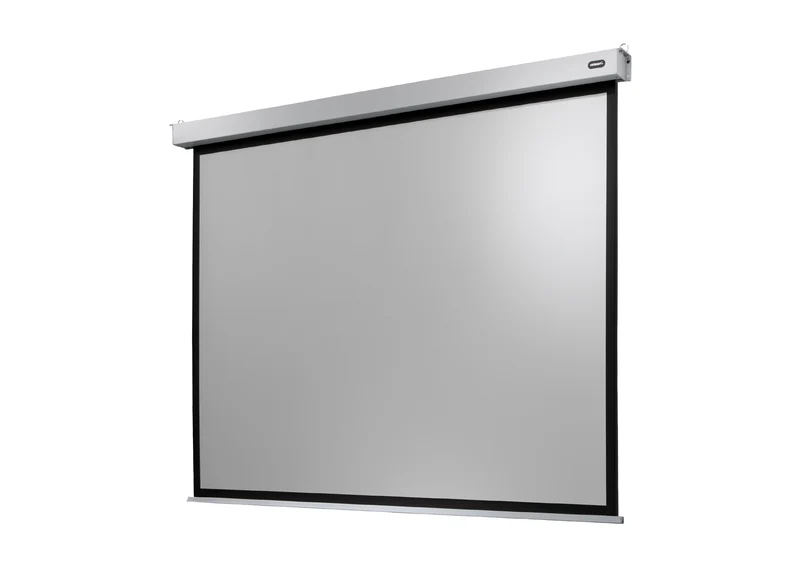 celexon Leinwand Motor Professional Plus