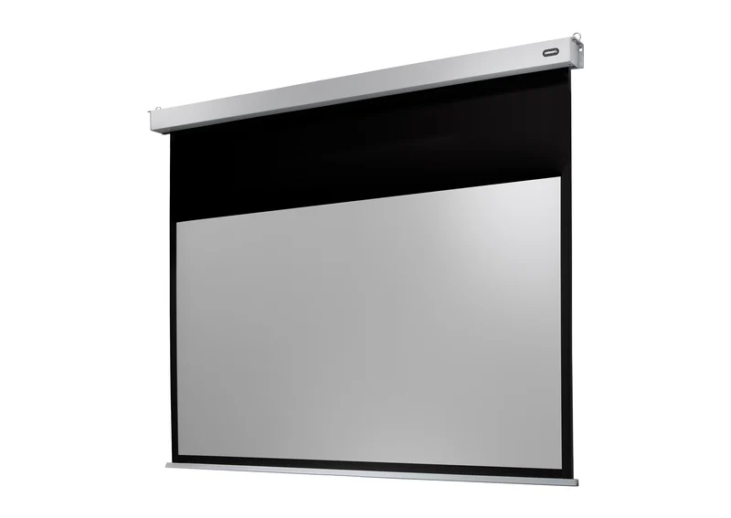 celexon Leinwand Motor Professional Plus