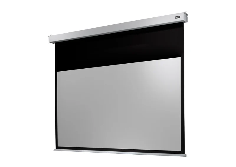 celexon Leinwand Motor Professional Plus