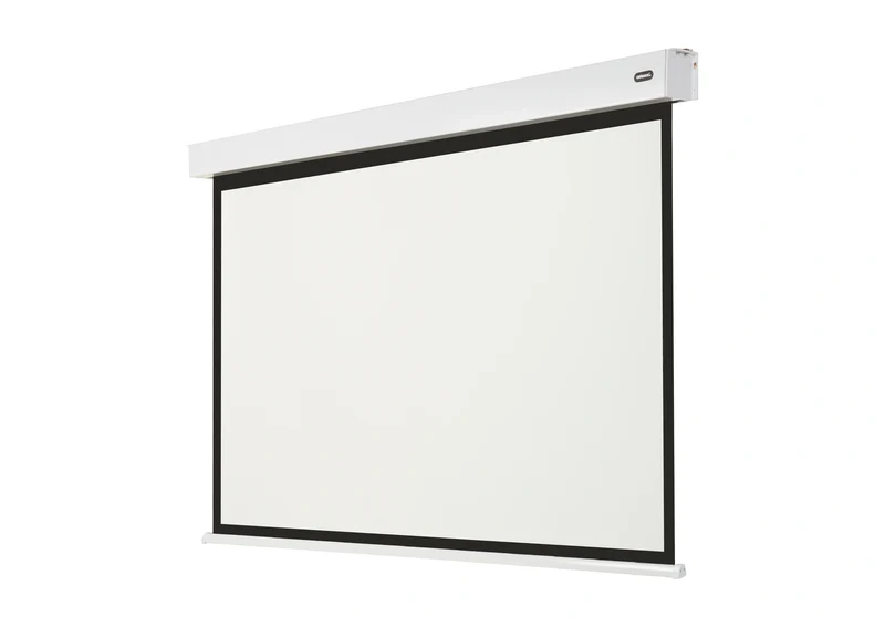 celexon Batterie Leinwand V2.0 Motor Professional Plus