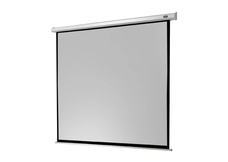 celexon Leinwand Motor Economy