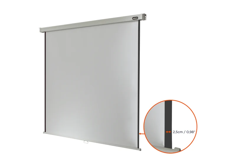 celexon Leinwand Rollo Professional
