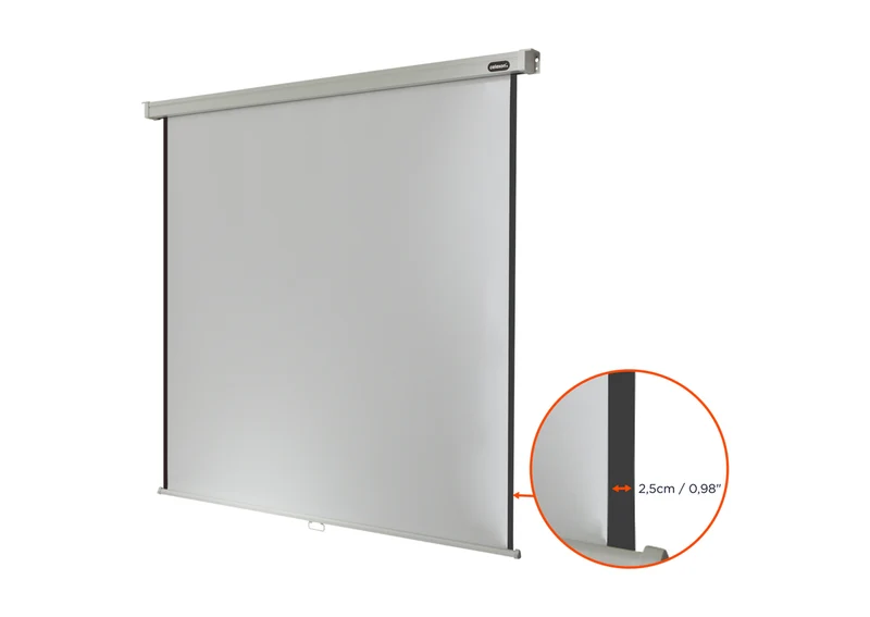 celexon Leinwand Rollo Professional