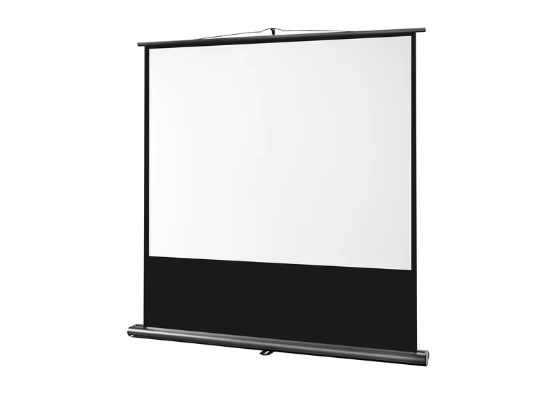 celexon Leinwand Ultramobil Professional