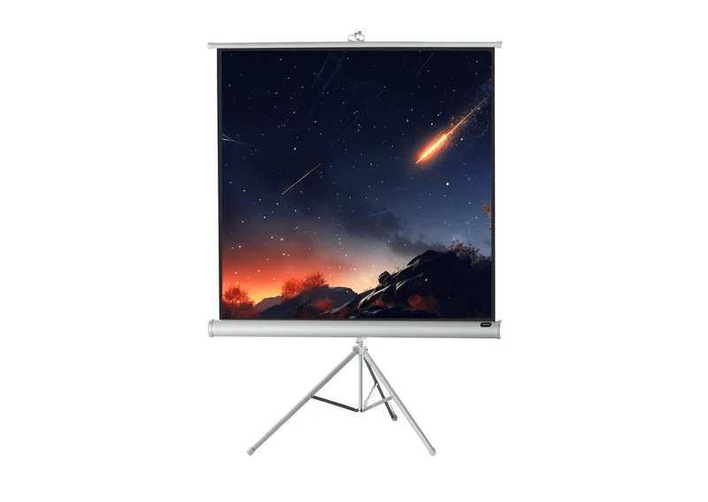 celexon Stativleinwand Economy - White Edition