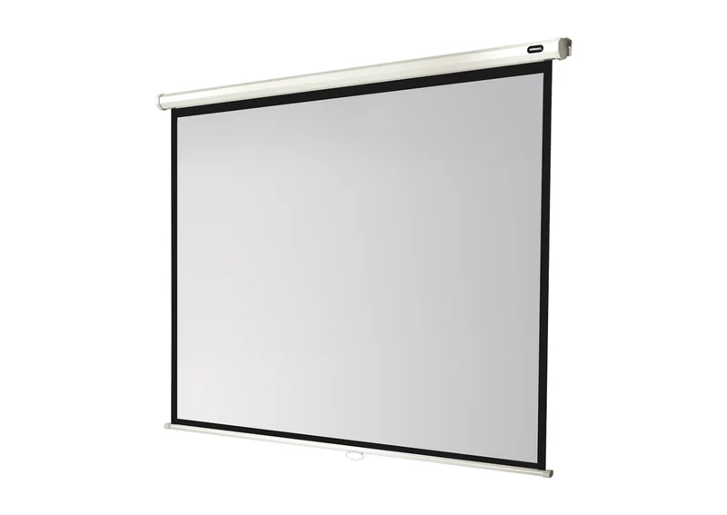 celexon Leinwand Rollo Economy