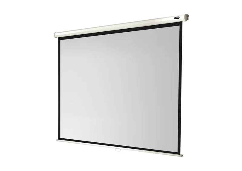 celexon Leinwand Rollo Economy