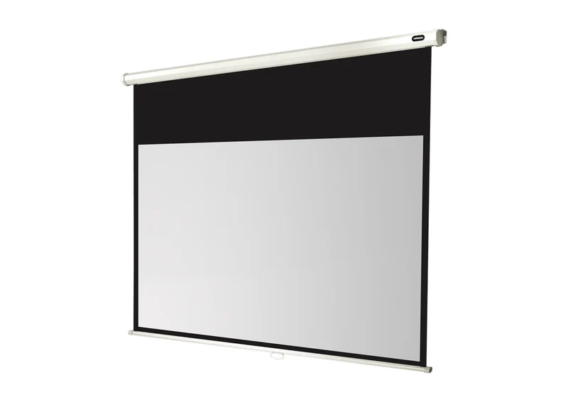 celexon Leinwand Rollo Economy