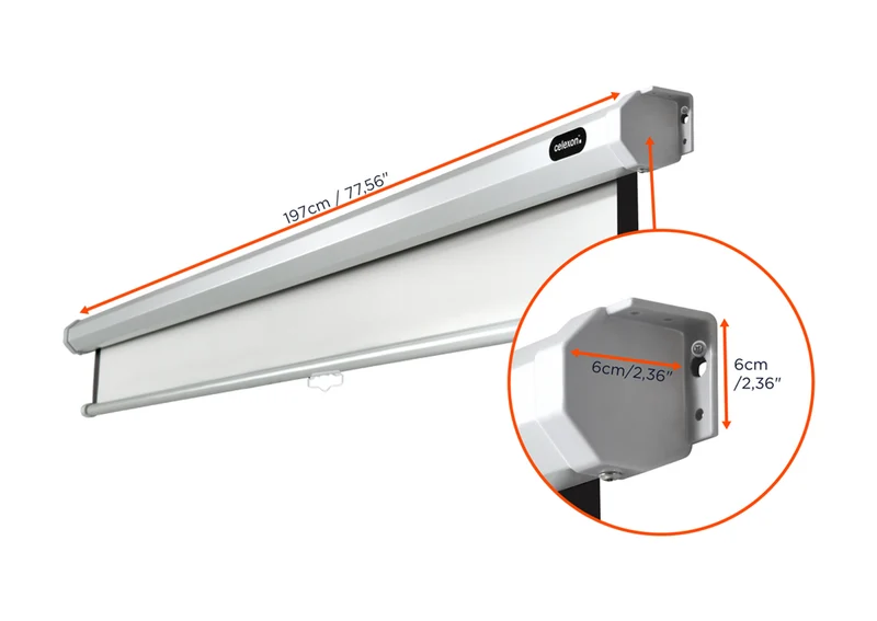 celexon Leinwand Rollo Economy
