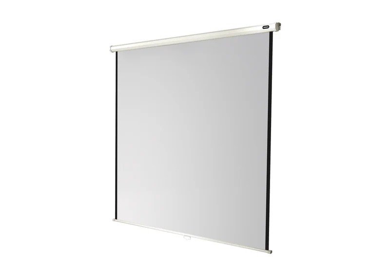 celexon Leinwand Rollo Economy