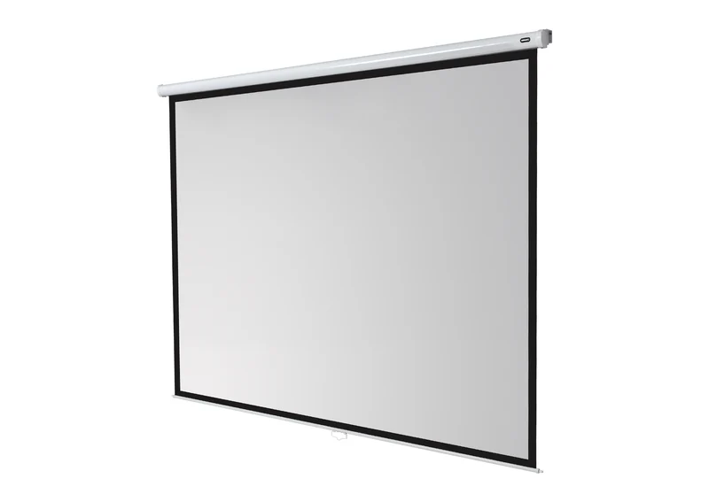 celexon Leinwand Rollo Economy