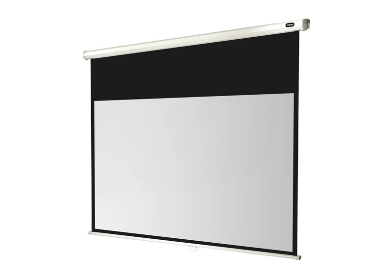 celexon Leinwand Rollo Economy