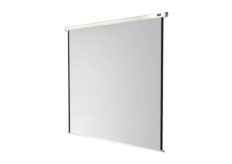 celexon Leinwand Rollo Economy