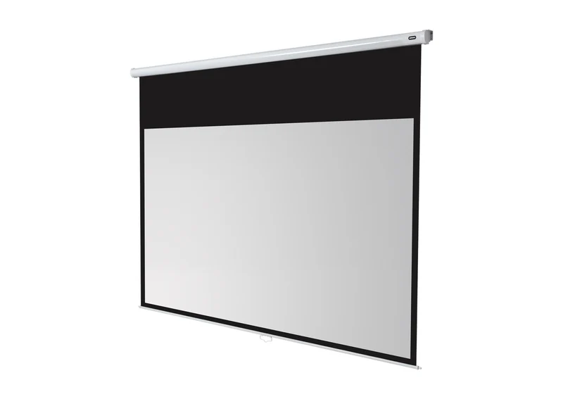 celexon Leinwand Rollo Economy