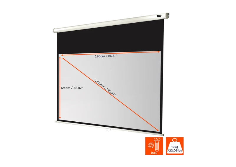 celexon Leinwand Rollo Economy
