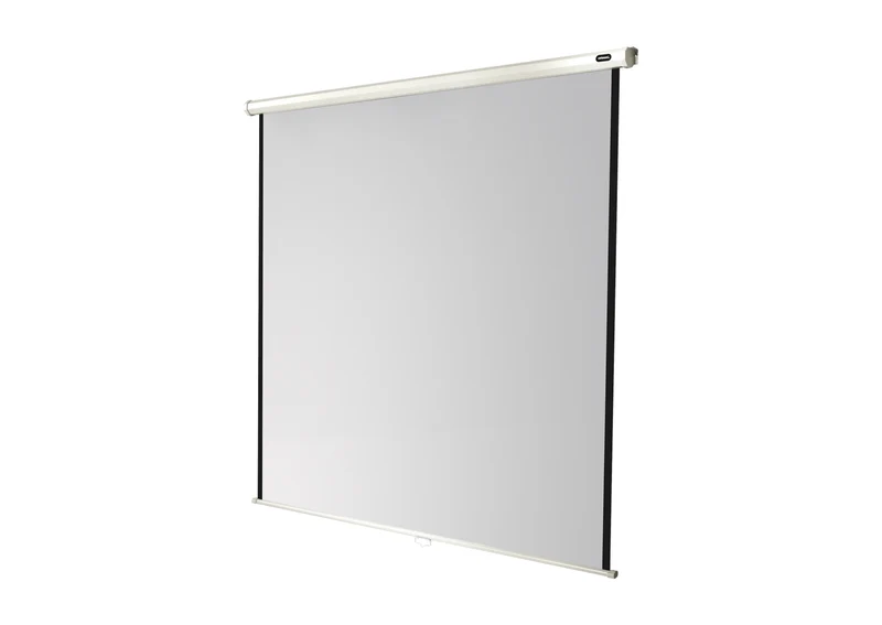 celexon Leinwand Rollo Economy