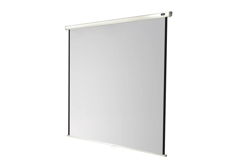 celexon Leinwand Rollo Economy