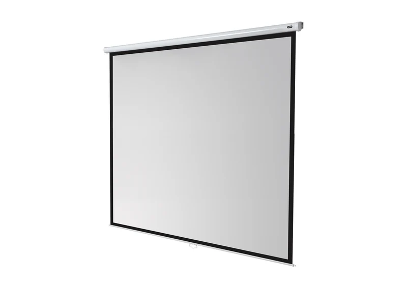 celexon Leinwand Rollo Economy