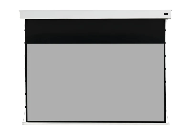 celexon Batterie Leinwand Motor Professional Plus Tension - Pearlstone