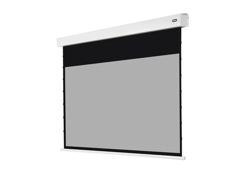 celexon Batterie Leinwand Motor Professional Plus Tension - Pearlstone