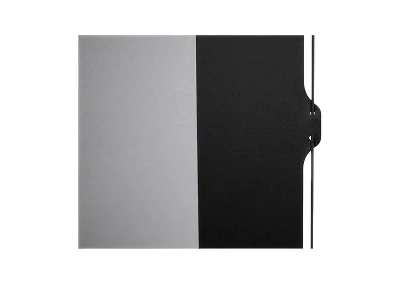 celexon Batterie Leinwand Motor Professional Plus Tension - Pearlstone
