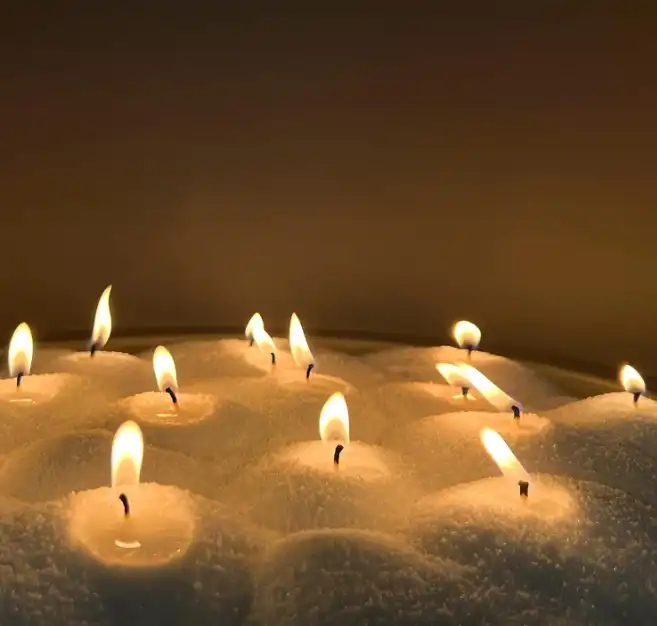 Serenity Coconut Shell Candle